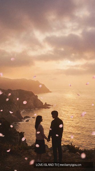 爱情岛TV - 《再见爱人 4》观察解说